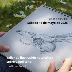 Taller de ilustración naturalista (adultos)